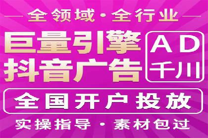 大型SEM服务公司案例分析